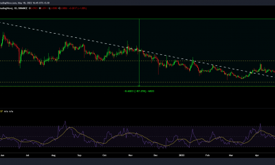 Evaluando cómo Dogecoin [DOGE] ha cambiado desde su ATH el año pasado