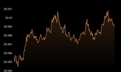 La A a la Z de lo que es Dogecoin [DOGE] Los inversores deben tener cuidado con