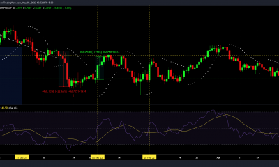 ApeCoin: ¿La volatilidad extrema de APE se convertirá en motivo de preocupación?