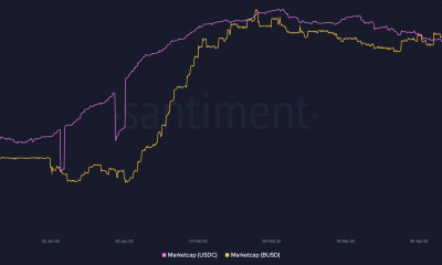 La guerra de Terra-fying se enfurece como USD Coin [USDC] y BinanceUSD [BUSD] pelear