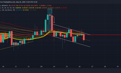 VeChain: cómo este patrón podría dar forma a la trayectoria a corto plazo de VET