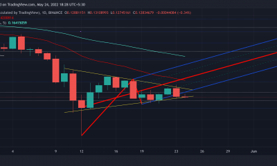 Stellar: responde a la pregunta de si HODLing sigue siendo el camino a seguir