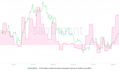 Etéreo [ETH]: Cómo los HODLers lograron permanecer desconcertados por el accidente