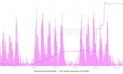 Cardano [ADA] puede tener un repunte del 28% en la tienda, solo si...