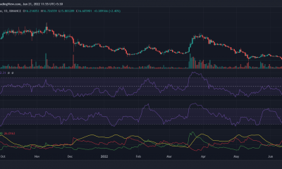 ETC [Ethereum Classic] las tortugas deben anotar estos puntos antes de activar el gatillo