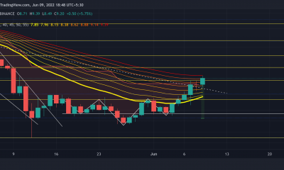 Chainlink: mapeo de las banderas rojas en la reciente carrera alcista de LINK