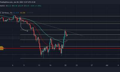 Litecoin [LTC]: Cómo los comerciantes pueden aprovechar estos resultados rentables