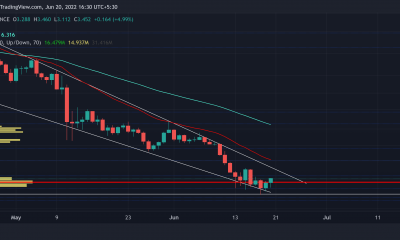 Desentrañar las implicaciones de seguir HODLing NEAR