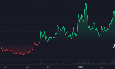 Protocolo NEAR: a pesar de mostrar un crecimiento de la red, ¿por qué su token 'NEAR' está en la parte inferior?