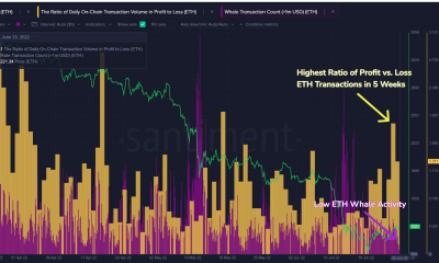 Ethereum ve la relación P/L más alta en 5 semanas, gracias a...