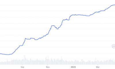 USDC y USDT: la demografía cambiante de las monedas estables