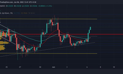 VeChain: después del rally reciente, esto es lo que estos indicadores tienen que decir sobre VET