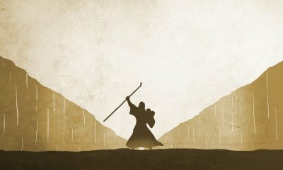 Cómo Polygon se está aprovechando de este último éxodo de Terra