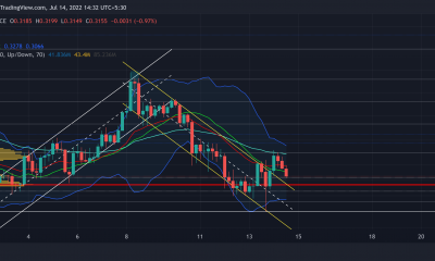Evaluar si XRP tiene potencial para recuperarse de esta zona de defensa