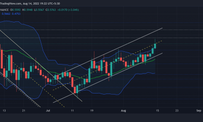 Cardano [ADA]: ¿Una brecha y algo más en proceso quizás?