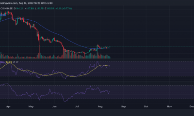 Bitcoin en efectivo [BCH]: A pesar del rally, la actividad en cadena cuenta una historia diferente