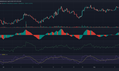 ¿Por qué Bitcoin? [BTC] los inversores deberían considerar tomar una pastilla para relajarse