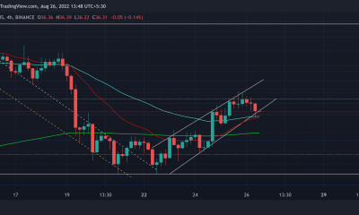 Ethereum clásico [ETC] La tendencia alcista a corto plazo puede extenderse si...