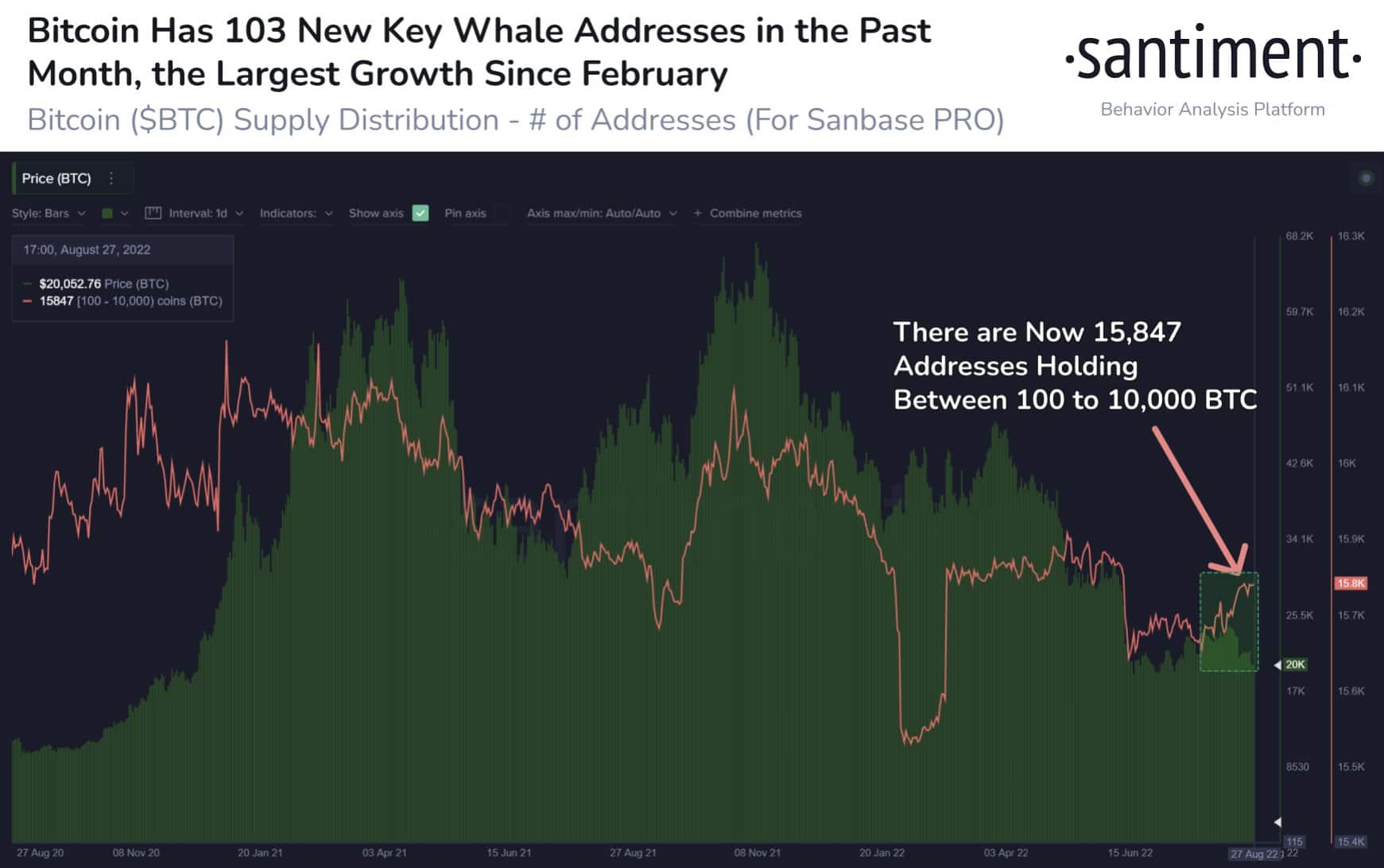 Las direcciones de ballenas de Bitcoin se están acumulando: ¿qué podría significar para el precio?