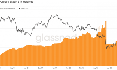 Bitcoins [BTC] caen por debajo de $ 22,000 y lo que significa para la demanda en estos sectores