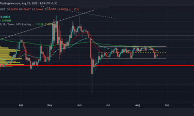 Tron: De qué deben tener cuidado los toros de TRX antes de hacer llamadas