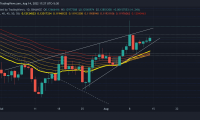Medir la eficacia de las apuestas largas para Stellar [XLM] en este momento