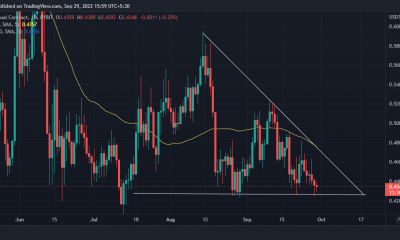 Cardano [ADA] los tenedores que van largos esta semana deberían leer esto
