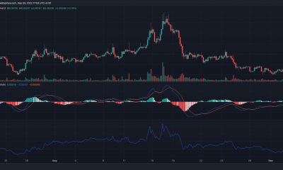 Un ojo en Dogecoin [DOGE] > Actividad de ballenas de $ 2 millones revela ...