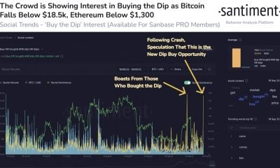 La fragilidad de Bitcoin del momento ha afectado más a este lema de BTC HODLer