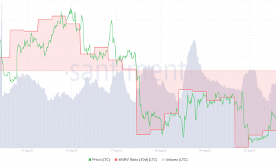 No XRP, SHIB, pero este alt puede ser su elección para diversificar la cartera
