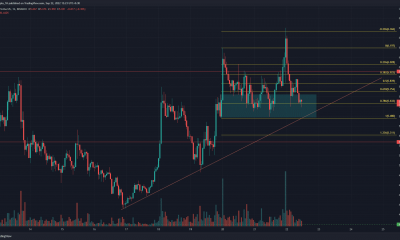 ApeCoin conserva su estructura alcista a corto plazo a pesar de la fuerte caída de $ 6.36