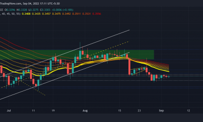 XRP: si debería o no considerar comprar a este precio