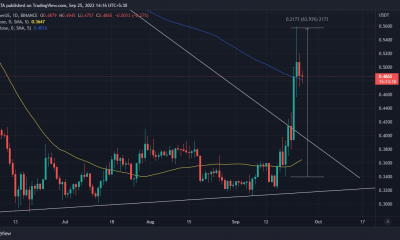 XRP puede mantener su fuerte sesgo alcista SOLAMENTE si esto sucede