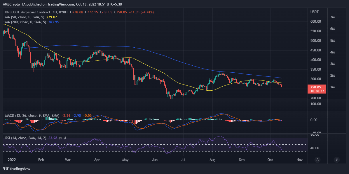 BNB es ideal para inversiones a largo plazo, gracias a los puntos destacados trimestrales