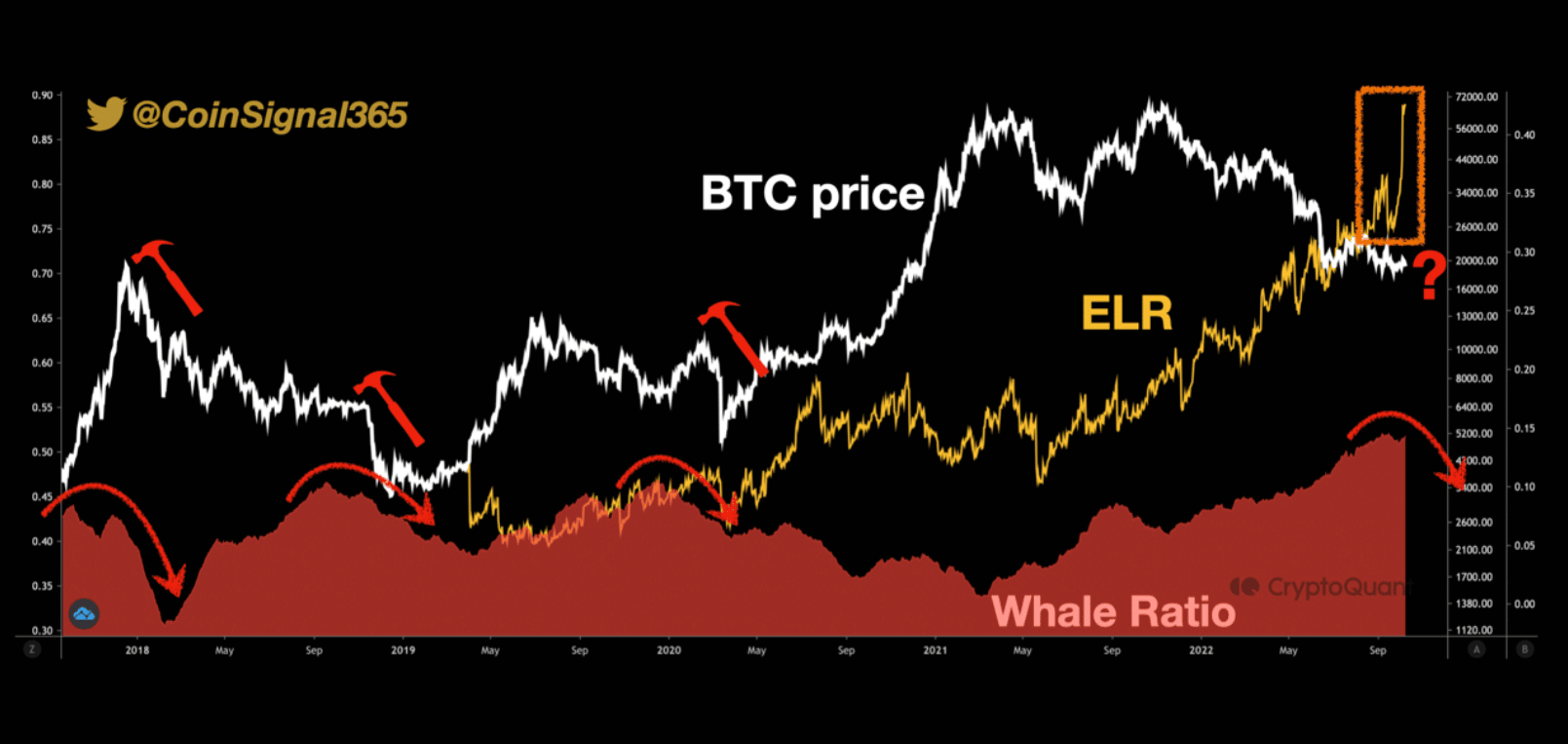 este bitcoin [BTC] la métrica es alta y las ballenas pueden tener algo que ver con eso