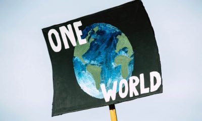 BIS, ONU y Hong Kong concluyen proyecto Génesis 2.0