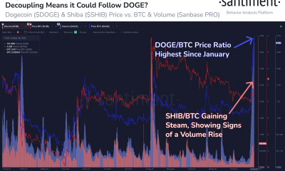 ¿SHIB sigue los pasos de DOGE?  Estos últimos datos pueden obligar a los comerciantes a pensar...