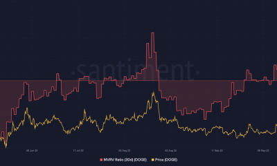 Precio de Dogecoin y relación MVRV