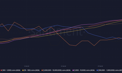 Cardano [ADA] puede estar liderando en este frente, pero en otros...