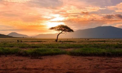 ¿Qué dice el informe del BIS sobre el desarrollo de CBDC en África?