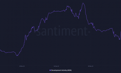 Actividad de desarrollo de Cardano