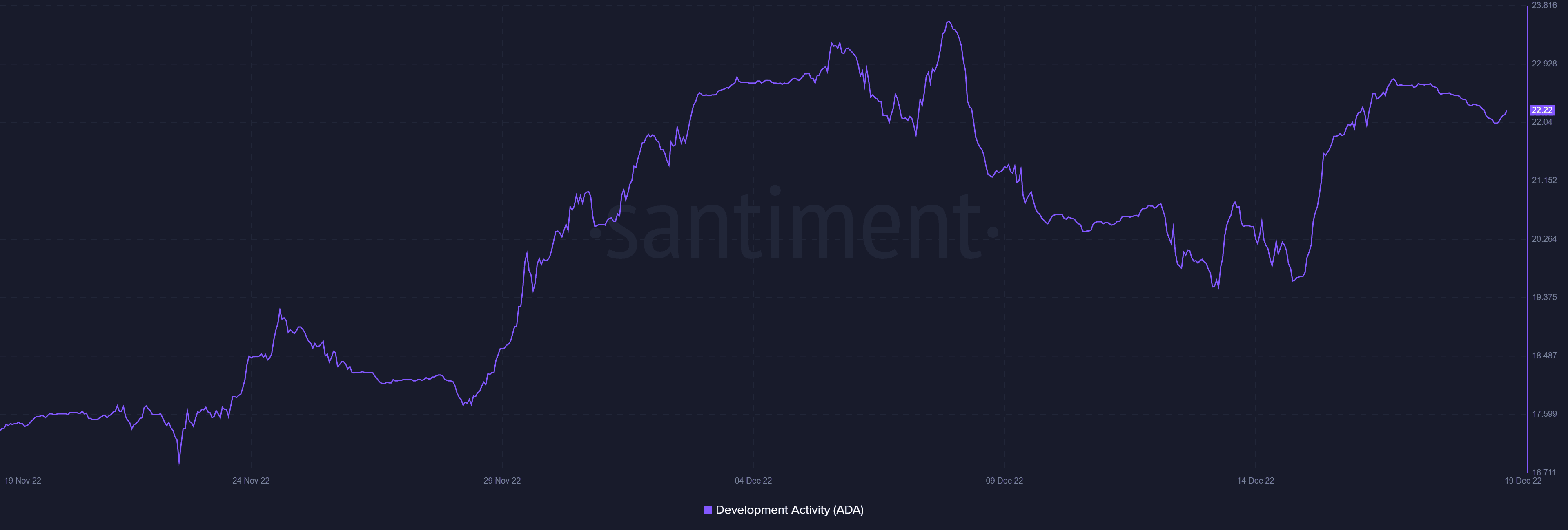 Actividad de desarrollo de Cardano