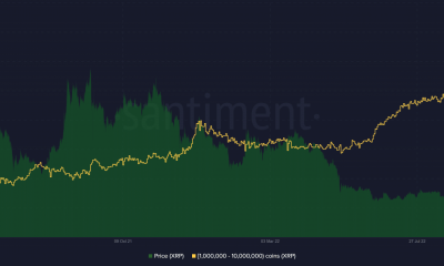 Ondulación (XRP)