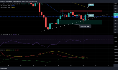 ¿Pueden los alcistas de BNB superar este gran obstáculo para alcanzar los USD 257,4?