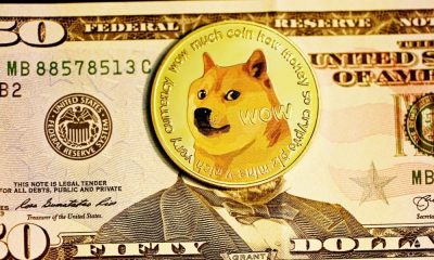 Dogecoin tuvo un impacto impactante en su precio luego de la encuesta de Twitter de Elon Musk