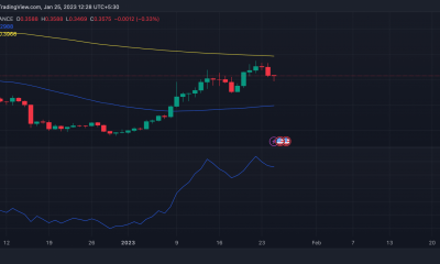 Analizando el potencial de corrección de precios de Cardano en medio del lanzamiento de la moneda estable Djed