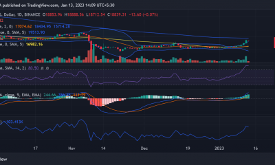 Bitcoin (BTC)