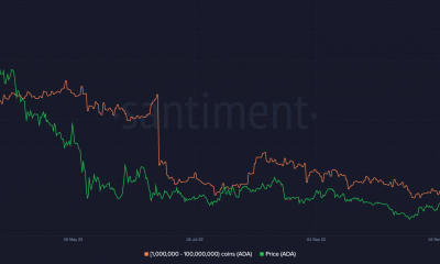 Cardano [ADA] los tenedores no ganarán sin dolor a corto plazo, he aquí por qué
