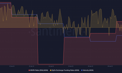 La actualización semanal de Cardano parece optimista, pero ¿dará alivio a los titulares a corto plazo?