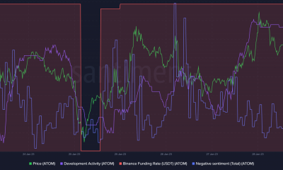 ¿Puede Cardano proporcionar el apoyo que Cosmos necesita para sostener su crecimiento?